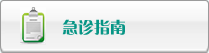大鸡巴操骚逼视频国产